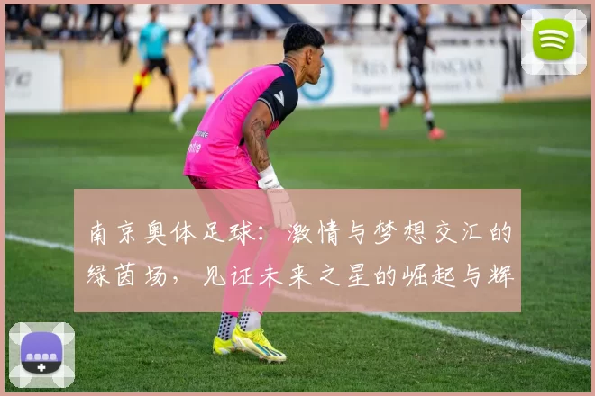 南京奥体足球：激情与梦想交汇的绿茵场，见证未来之星的崛起与辉煌