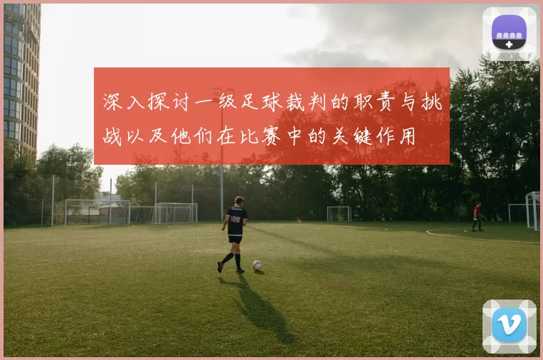 深入探讨一级足球裁判的职责与挑战以及他们在比赛中的关键作用