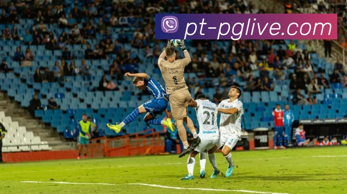 多媒体互动体验