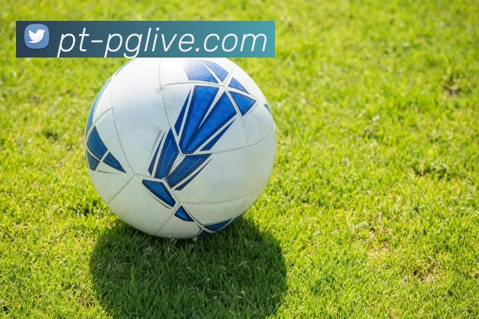 PG游戏试玩APP 高清赛事图